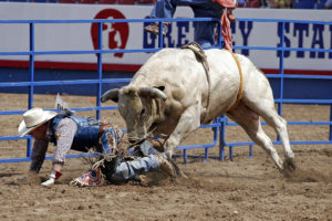 Bull rifer death might be linked to depression and concussions